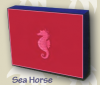 Sea Horse Solid Note Box