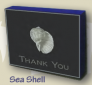 Sea Shell Thank You Note Box