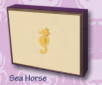 Seahorse Solid Note Box